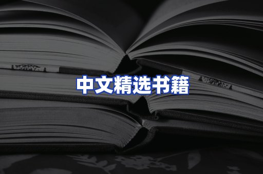 中文精选书籍